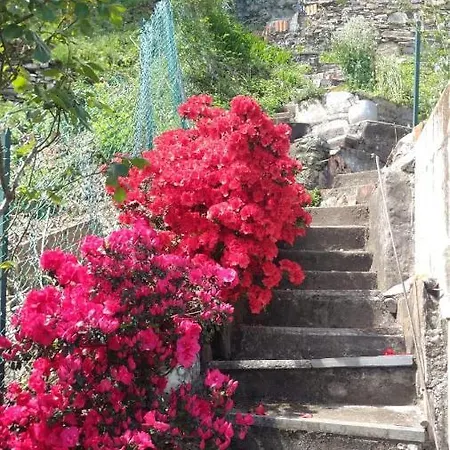 Belvedere Cannobio